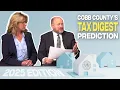 Board of Tax Assessors 2025 Tax Digest Prediction