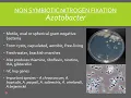 Biological Nitrogen Fixation - Types