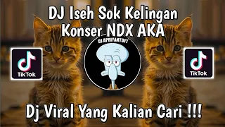 dj iseh sok kelingan konser ndx aka sound music anak bangsa viral tik tok terbaru 2024 dj dumes
