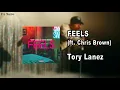 Tory Lanez - Feels (Lyrics) ft. Chris Brown