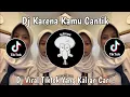 Download Lagu DJ KARENA KAMU CANTIK BREAKFUNK VIRAL TIKTOK TERBARU 2024 YANG KALIAN CARI !
