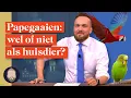 Download Lagu Wat is er mis met papegaaien als huisdier? | LUBACH