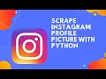 Scrape Instagram profile picture with python