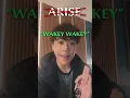 Download Lagu Solo Leveling Voice Actor Threatens The Haters!