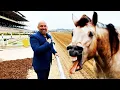 The Del Mar Racetrack - access granted