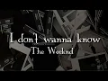 The Weeknd - i dont wanna know song