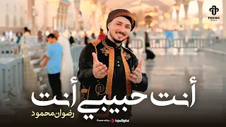 أنت حبيبي أنت   رضوان محمود   أنشودة المولد النبوي      دندنها