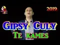 Download Lagu Gipsy Culy   Te kames 2019