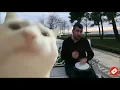 Download Lagu Ievan Polkka - Street Drummer | Cat Vibing Meme | 1 Hour Loop