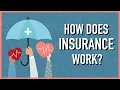 Download Lagu How Does Insurance Work?