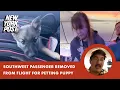 Southwest passenger removed from flight for petting puppy Ridiculous
