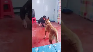 1 Juin 2021  1 Juin 2021