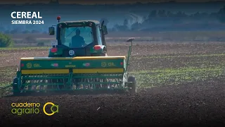 Siembra del cereal en Andalucía