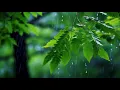Download Lagu 명상음악 🌿 머리가 맑아지는 휴식음악 | 자연의 소리와 함께 마음을 치유하는 힐링음악