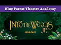 Into The Woods Jr Gold Cast BFTA