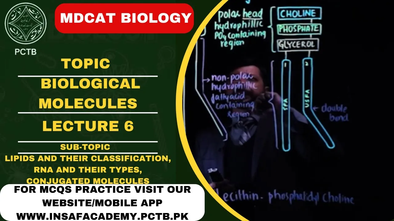 LIPIDS AND THEIR CLASSIFICATION, RNA AND THEIR TYPES, CONJUGATED MOLECULES |BIOLOGICAL MOLECULES |