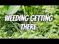 Weeding Getting There