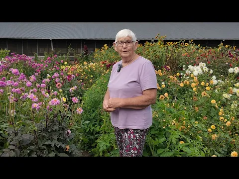 25 jaar Schiphorst pluktuin in Oudleusen
