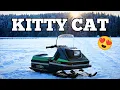 Lagu KITTY CATIN EKAT AJOT | TOIMIIKO SE??