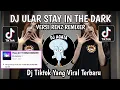 Download Lagu DJ ULAR STAY IN THE DARK VERSI RENZ REMIXER VIRAL TIKTOK TERBARU