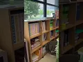 Groovy boho classroom transformation