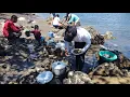 Download Lagu PESCARIA E COZIDO DE PEIXE NA BEIRA DO RIO COM A FAMÍLIA NOSSO ALMOÇO