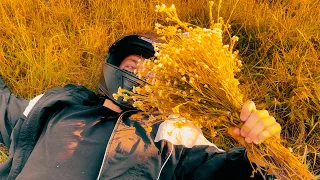 BARYK Серед польових квітів Official Video 