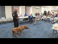 Randolph County K9 officer Red retires