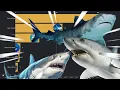 Download Lagu All Confirmed Deadly Shark Attacks Since 1960