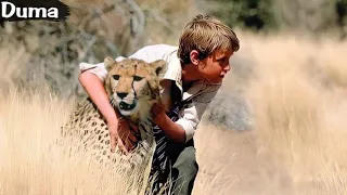 ولد قام بتربية فهد نادر كحيوان أليف وأخذه معه إلى المدرسة لكي يحميه من المتنمرين ملخص فلم Duma 