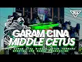 Download Lagu DJ GARAM CINA FULL PARTIAN X TRAP CETUSS MELODY NEW AFR MUSIC PRODACTION