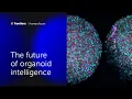 Thomas Hartung and colleagues The future of organoid intelligence Frontiers Forum Deep Dive 2023