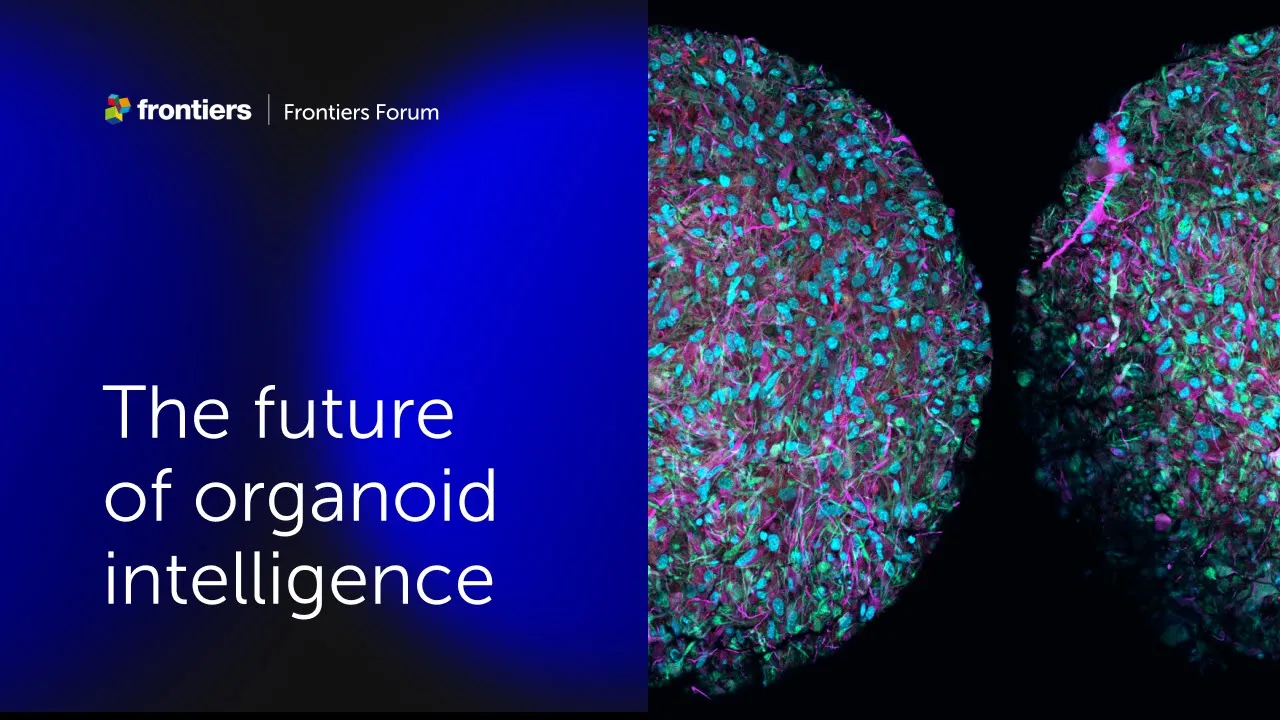 Thomas Hartung and colleagues | The future of organoid intelligence | Frontiers Forum Deep Dive 2023