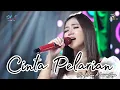 Download Lagu CINTA PELARIAN - NESA NATA JAYA - DLS MUSIC IMAGINATION