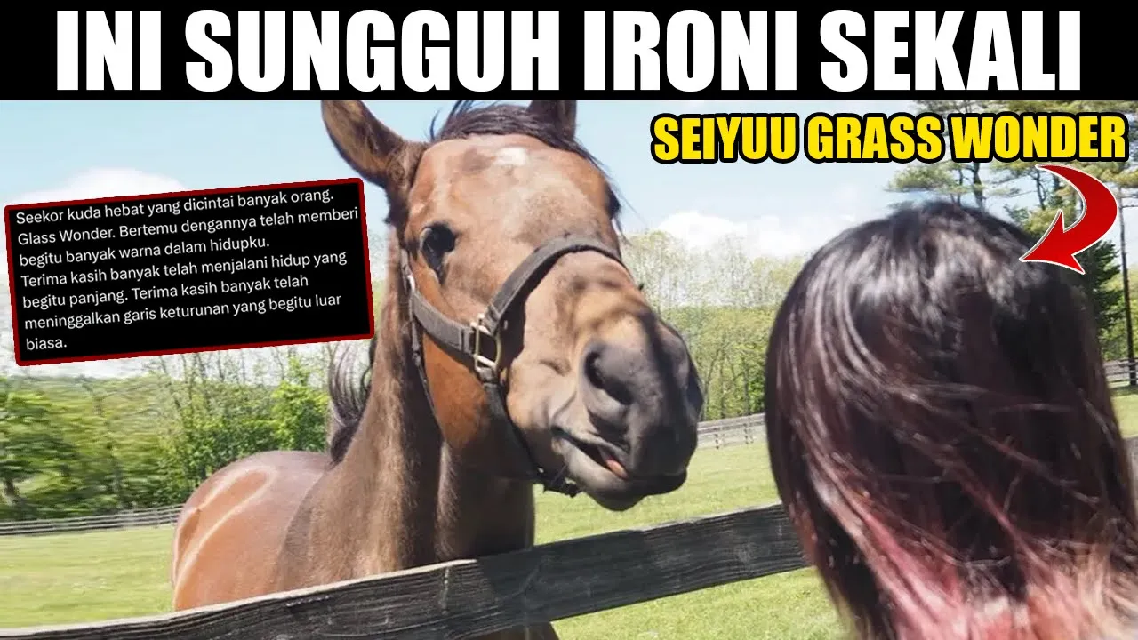 Seiyuu Grass Wonder, Rena Maeda Ikut Sedih atas Kepergian Sang Kuda Padahal Ia ingin Menemuinya lagi Seiyuu Grass Wonder, Rena Maeda Ikut Sedih atas Kepergian Sang Kuda Padahal Ia ingin Menemuinya lagi
