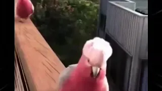 حالات واتس اب دينية مع اجمل المناظر الطبيعية 