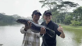 MANCING BERSAMA PAK TDW DAPAT MONSTER PINK🔥🔥