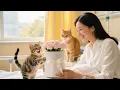 Download Lagu Kitten Help Fainting Teacher Heartwarming Rescue#cute #cat #funny #love #animals #viralvideo #kitten
