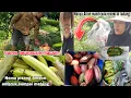 Download Lagu Semangatnya kalau pas ngunduh panenan ⁉️ bermacam-macam ku dapatkan || Mbak iti vlog