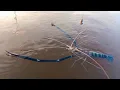 Download Lagu MENGGETARKAN! udang besar air asin, mancing setelah hujan deras