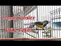 SOGON KONSLET FULL ISIAN PLECI