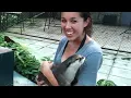 I Will Spend My Whole Life Loving You - Kina Grannis & Imaginary Future