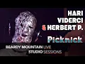 Download Lagu HARi ViDERCi \u0026 HERBERT P. // Picknick // BEARDY MOUNTAIN STUDIO SESSION // [4K]