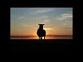 Psalm 23 - Amplified Version