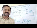 CIRCULAR LINKED LIST INSERTION AT BEGINNING ENDING SPECIFIED POSITION - DATA STRUCTURES