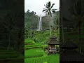 Download Lagu Degung Sunda Untuk Pernikahan #shorts #degungsunda #degungsundaun #nostalgiajamandulu