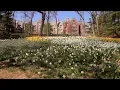 Why Wellesley College Selected the Workday Suite