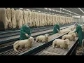 FULL PROCESS | Inside the Sheep Wool Factory - From Sheep Wool to Luxury Jacket