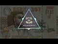 BURNA BOY DESTINY INSTRUMENTAL/ REFIX/ REMAKE (VISUALISER) AFROBEAT