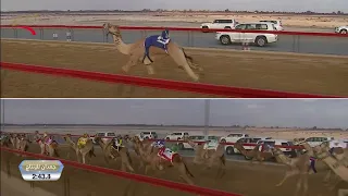 مهرجان ولي عهد دبي   حقاقة للقبائل           ش   رايق ل  سالم علي حمد الفهيده المري         دندنها